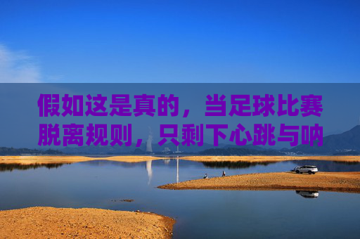 假如这是真的,当足球比赛脱离规则,只剩下心跳与呐喊