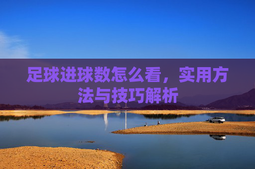 足球进球数怎么看,实用方法与技巧解析