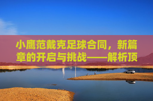 小鹰范戴克足球合同，新篇章的开启与挑战——解析顶级后卫的续约与未来规划