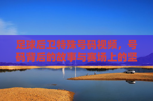 足球后卫特殊号码视频,号码背后的故事与赛场上的坚守