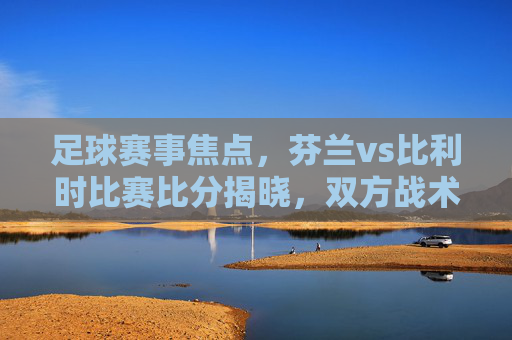 足球赛事焦点,芬兰vs比利时比赛比分揭晓,双方战术与进球分析