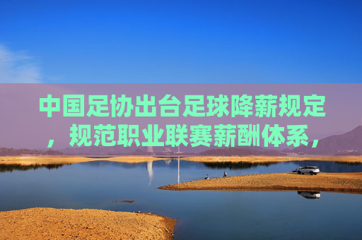 中国足协出台足球降薪规定,规范职业联赛薪酬体系,推动中国足球职业化转型