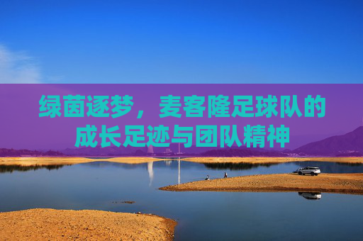 绿茵逐梦,麦客隆足球队的成长足迹与团队精神