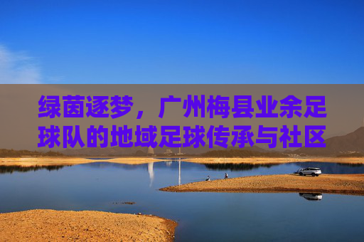 绿茵逐梦,广州梅县业余足球队的地域足球传承与社区活力