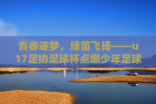 青春逐梦，绿茵飞扬——u17足协足球杯点燃少年足球热情