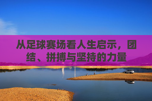 从足球赛场看人生启示，团结、拼搏与坚持的力量