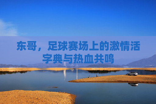 东哥，足球赛场上的激情活字典与热血共鸣