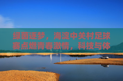 绿茵逐梦,海淀中关村足球赛点燃青春激情,科技与体育的完美融合