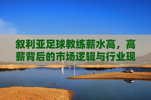 叙利亚足球教练薪水高，高薪背后的市场逻辑与行业现状，叙利亚足球教练薪水高，高薪背后的市场逻辑与行业现状