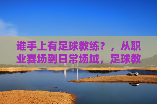 谁手上有足球教练？，从职业赛场到日常场域，足球教练的持有逻辑与多元角色