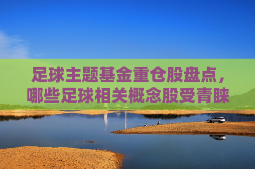 足球主题基金重仓股盘点,哪些足球相关概念股受青睐?