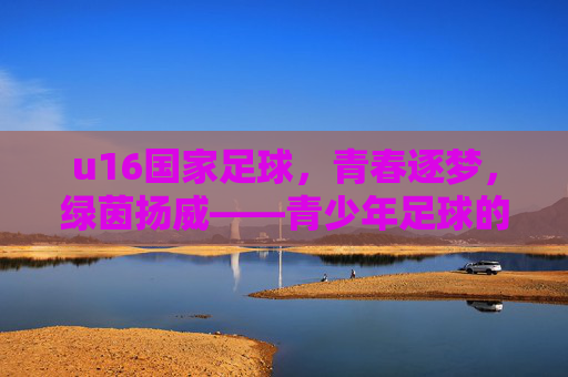 u16国家足球，青春逐梦，绿茵扬威——青少年足球的竞技荣光与未来希望，u16国家足球，青春逐梦，绿茵扬威——竞技荣光与未来希望