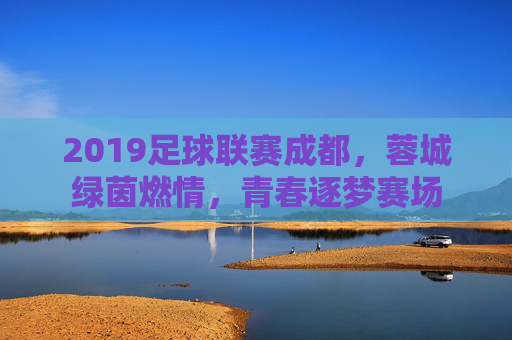 2019足球联赛成都，蓉城绿茵燃情，青春逐梦赛场