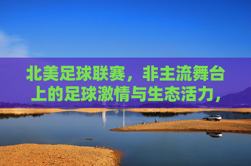 北美足球联赛,非主流舞台上的足球激情与生态活力,北美足球联赛,非主流舞台上的足球激情与生态活力