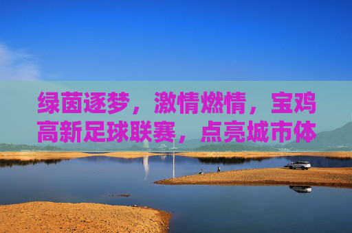 绿茵逐梦，激情燃情，宝鸡高新足球联赛，点亮城市体育新篇章