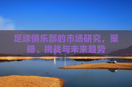 足球俱乐部的市场研究,策略、挑战与未来趋势