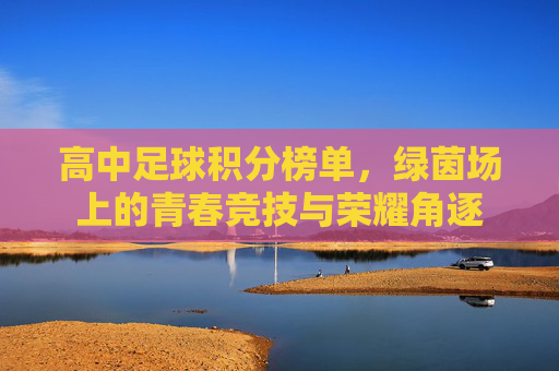 高中足球积分榜单,绿茵场上的青春竞技与荣耀角逐