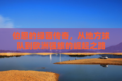 伯恩的绿茵传奇,从地方球队到欧洲强旅的崛起之路