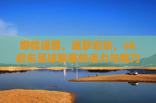 燃情绿茵，逐梦启东，ok启东足球联赛的活力与魅力