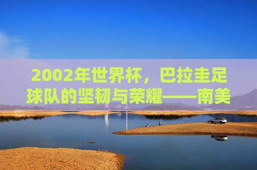 2002年世界杯，巴拉圭足球队的坚韧与荣耀——南美劲旅的亚洲征途，2002年世界杯，巴拉圭足球队的坚韧与荣耀——南美劲旅的亚洲征途