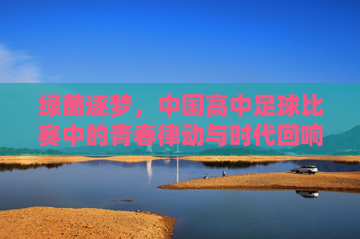 绿茵逐梦,中国高中足球比赛中的青春律动与时代回响