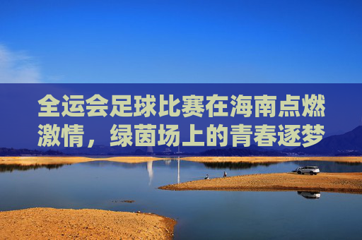 全运会足球比赛在海南点燃激情，绿茵场上的青春逐梦与地域风采，全运会足球比赛在海南点燃激情，绿茵场上的青春逐梦与地域风采