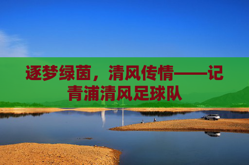 逐梦绿茵,清风传情——记青浦清风足球队