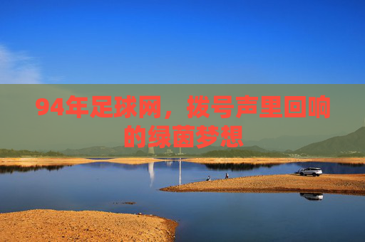 94年足球网,拨号声里回响的绿茵梦想