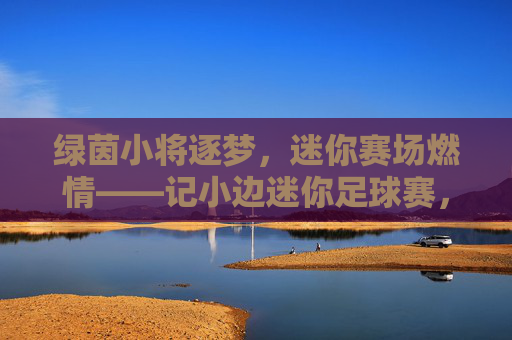 绿茵小将逐梦，迷你赛场燃情——记小边迷你足球赛，绿茵小将逐梦，迷你赛场燃情——记小边迷你足球赛