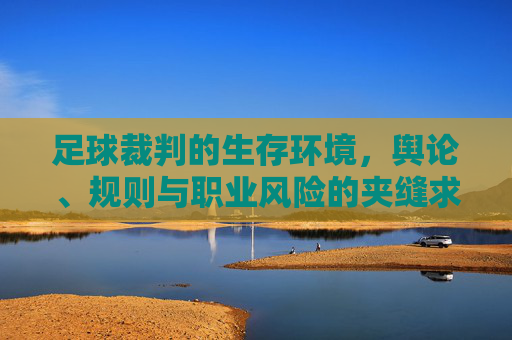 足球裁判的生存环境,舆论、规则与职业风险的夹缝求生