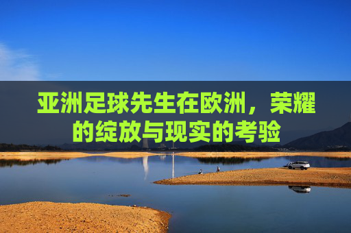 亚洲足球先生在欧洲,荣耀的绽放与现实的考验