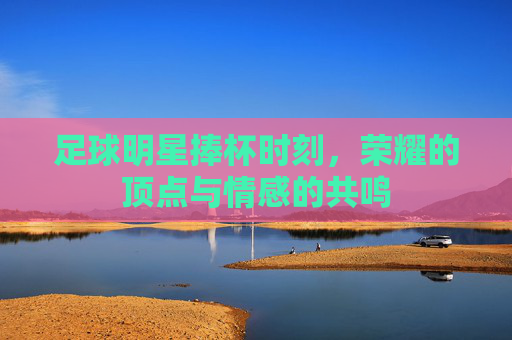 足球明星捧杯时刻，荣耀的顶点与情感的共鸣