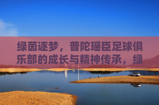 绿茵逐梦,普陀瑶臣足球俱乐部的成长与精神传承,绿茵逐梦,普陀瑶臣足球俱乐部的成长与精神传承