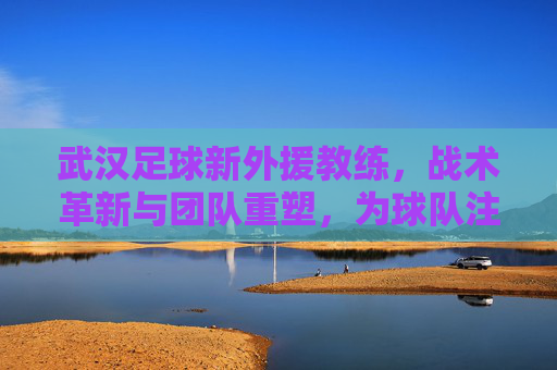 武汉足球新外援教练,战术革新与团队重塑,为球队注入新活力,武汉足球新外援教练,战术革新与团队重塑,为球队注入新活力