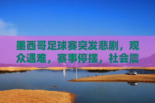 墨西哥足球赛突发悲剧，观众遇难，赛事停摆，社会震惊