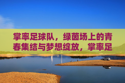 掌率足球队,绿茵场上的青春集结与梦想绽放,掌率足球队,绿茵场上的青春集结与梦想绽放