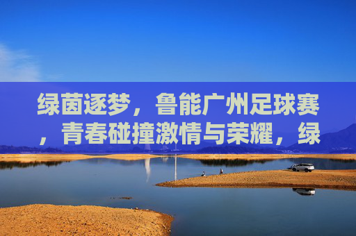 绿茵逐梦，鲁能广州足球赛，青春碰撞激情与荣耀，绿茵逐梦，鲁能广州足球赛，青春碰撞激情与荣耀