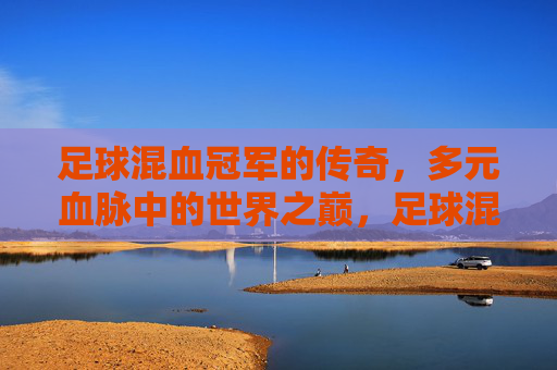 足球混血冠军的传奇,多元血脉中的世界之巅,足球混血冠军的传奇,多元血脉中的世界之巅