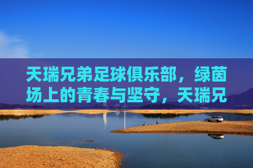 天瑞兄弟足球俱乐部,绿茵场上的青春与坚守,天瑞兄弟足球俱乐部,绿茵场上的青春与坚守