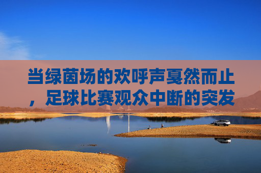 当绿茵场的欢呼声戛然而止，足球比赛观众中断的突发与余波，足球观众中断，绿茵场的突发与余波