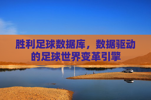 胜利足球数据库，数据驱动的足球世界变革引擎