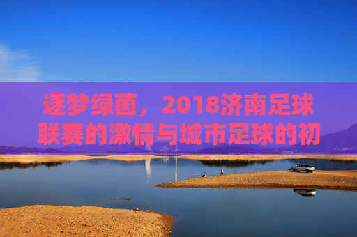逐梦绿茵，2018济南足球联赛的激情与城市足球的初长成，逐梦绿茵，2018济南足球联赛的激情与城市足球的初长成