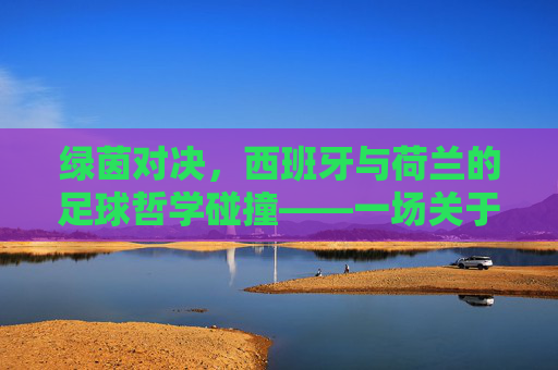绿茵对决，西班牙与荷兰的足球哲学碰撞——一场关于艺术与硬实力的经典博弈