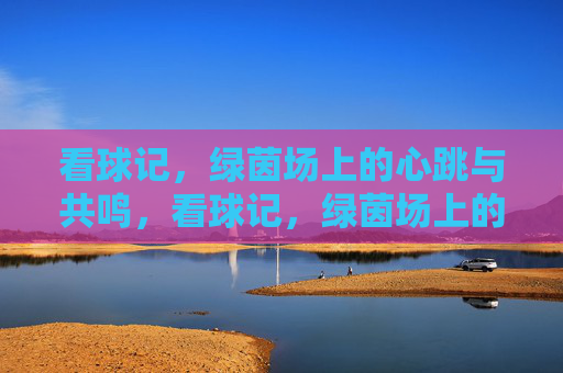 看球记，绿茵场上的心跳与共鸣，看球记，绿茵场上的心跳与共鸣