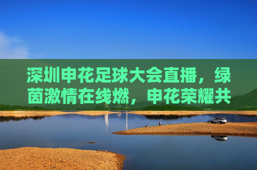 深圳申花足球大会直播，绿茵激情在线燃，申花荣耀共赏
