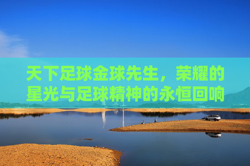天下足球金球先生,荣耀的星光与足球精神的永恒回响
