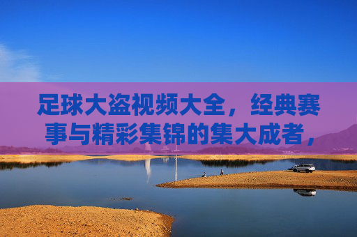 足球大盗视频大全,经典赛事与精彩集锦的集大成者,足球迷的必备资源库,足球大盗视频大全,经典赛事与精彩集锦的集大成者,足球迷的必备资源库