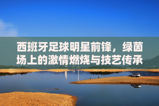 西班牙足球明星前锋，绿茵场上的激情燃烧与技艺传承——从托雷斯到莫拉塔的巅峰印记
