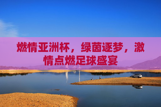 燃情亚洲杯，绿茵逐梦，激情点燃足球盛宴