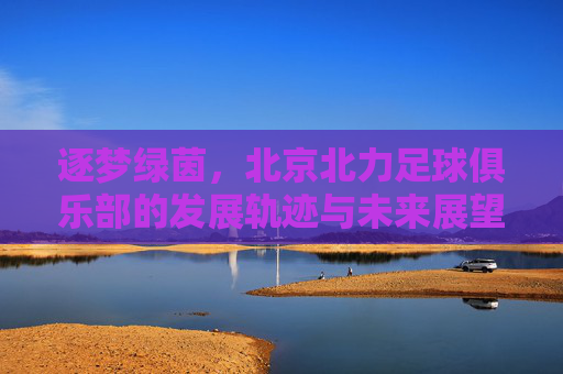 逐梦绿茵，北京北力足球俱乐部的发展轨迹与未来展望